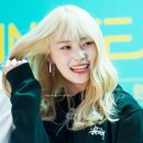 라라투어 이미지