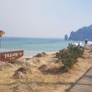 동해시-33 Daum카페