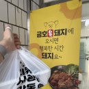 금호복돼지 이미지