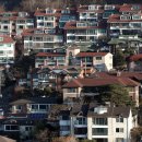 백돈양천구