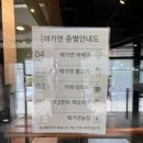 굴림만두가 들어가는 담백샤브전골로 잃어버린 입맛찾기 김포 풍무동 점심 맛집 해가연만두