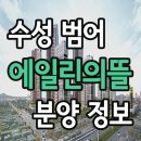 에일린 이미지