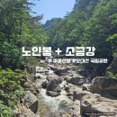 [100대명산] 여름 계곡산행 시작편, 오대산 노인봉 등산 후기 (노인봉 ~ 소금강 코스)