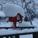곰배령설피마을 이미지