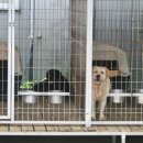 요세라코리아 이미지