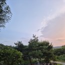 첨단박유환내과의원 | 8월 암캠프 후기 - 치유의 숲에서 만난 기적