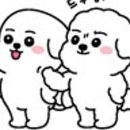 포드그루와 이미지