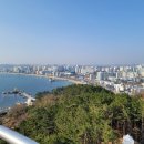 포항시북구81 이미지