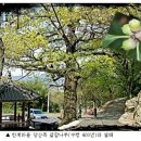 반계로 이미지