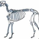 국립문화재연구소 이미지