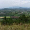 소들의 천국 이미지