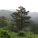 지리산둘레길 22코스(주천-밤재) 이미지