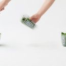 플레이버디자인 이미지