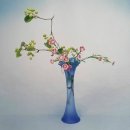 동양꽃꽂이 이미지