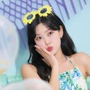 빅보스 이미지