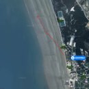 청포대아재펜션 | [펜션, 해루질] 태안 청포대아재펜션에서 놀고, 먹고, 해루질 하기 (개불,떡조개가 많음)