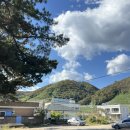 지에스수퍼 대구월곡점 | ✔️ 대구 근교 경주 양남 관성솔밭해변 오션뷰캠핑 가을캠핑 차박성지