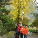 대관령사슴목장 이미지