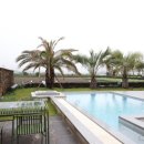 부티아풀빌라 이미지