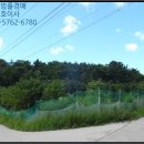 양덕동134 이미지