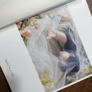 메종드힐 | [스드메] 메종드힐스튜디오 촬영 후기, 앨범 수령 후기 (+크리드제이, 김활란뮤제네프메이크업)