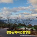 임해로(서) 이미지