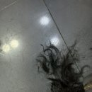 롯데슈퍼 남원점 이미지