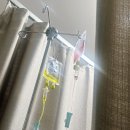 [4월 일상] 블로그 1일1포 도전, 한강피크닉, 야근야근, 부모님 입원