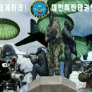 석사용인대태권도 이미지