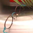 eye 편한 안경원 이미지