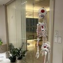 맞춤형건강클리닉 | 울산 남구 필라테스 달동 필라테스클리닉 후기! 체형분석부터 맞춤 그룹레슨까지