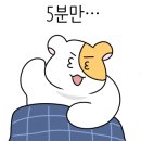 백년본가김치찜 이미지