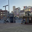 쌍둥이흑염소 이미지