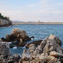 김성옥 인권행정사사무소 이미지