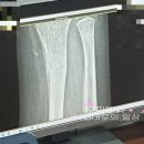 해운대윤정형외과의원 이미지