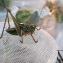 주산농장 이미지