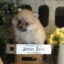 강동-길동-3533 이미지