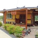 두동편백 이미지