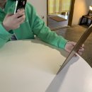홀스앤타이거