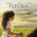 말이 주인공인 가족 영화 Flicka(2006년) 이미지