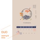 듀오왁싱앤브로우
