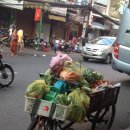 베트남 통신(2)- 메콩델타 하루 여행 이미지