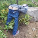 청살림영농조합법인 이미지