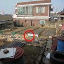 완산-152 이미지