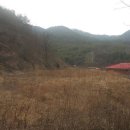 혜성부동산공인중개사사무소 이미지