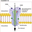 금단현상 주의, 10일 이내 단기 투약 졸민정 0.25mg 이미지