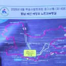 충남 예산 예당호 느린꼬부랑길 트레킹 후기 콜핑이면 충분해