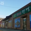 편백나라