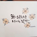 붓펜캘리그라피 이미지