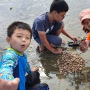 스포츠 아이 수영장 이미지